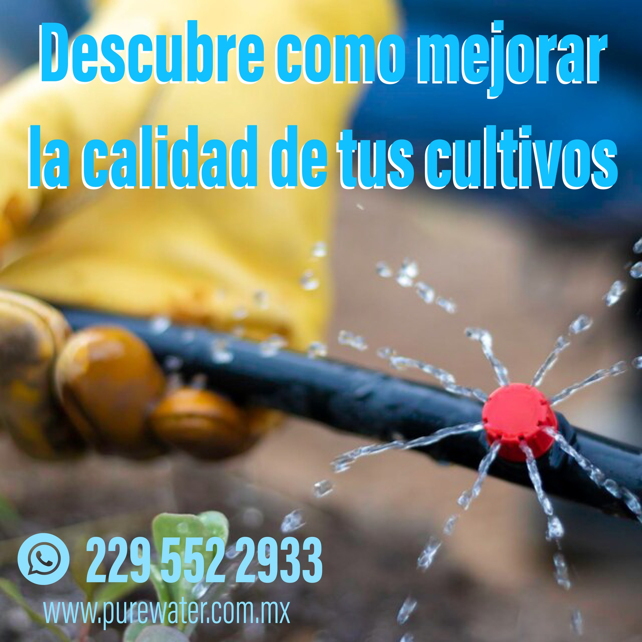 477303269 624274600565830 1704275538126792130 n